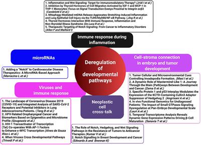 Editorial: Targeting <mark class="highlighted">Developmental Pathways</mark> in Inflammation and Disease